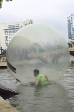 Tung's World (2009) Tung's World (2009)