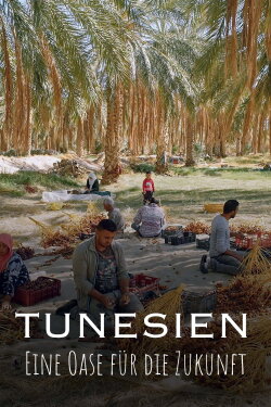 Tunisie : Une oasis dans un grain de sable (2024)