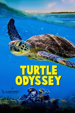 Turtle Odyssey (2018) Turtle Odyssey (2018)