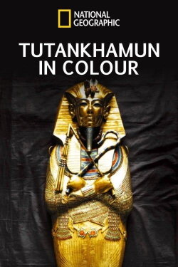Tutankhamun In Colour (2020) Tutankhamun In Colour (2020)