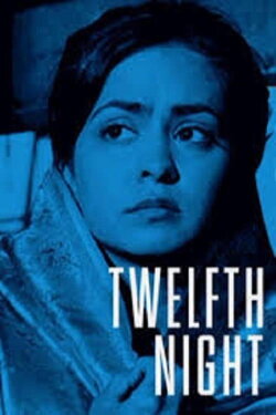 Twelfth Night, or What You Will (2003) Twelfth Night, or What You Will (2003)