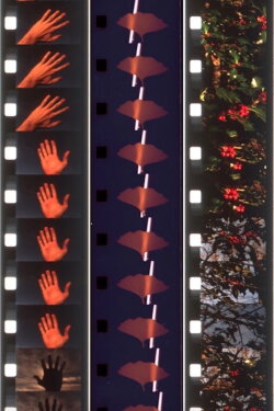 Twelve Seasonal Films (2020) Twelve Seasonal Films (2020)