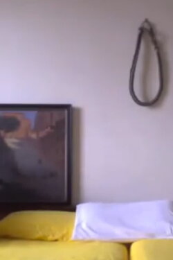 Twin Beds (2014)