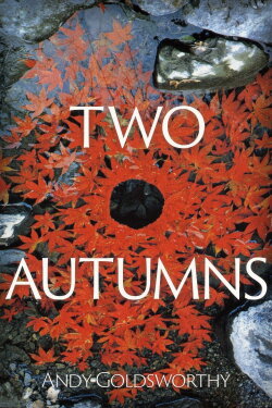 Two Autumns: Andy Goldsworthy (1992) Two Autumns: Andy Goldsworthy (1992)