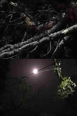 Two moons (2024) Two moons (2024)