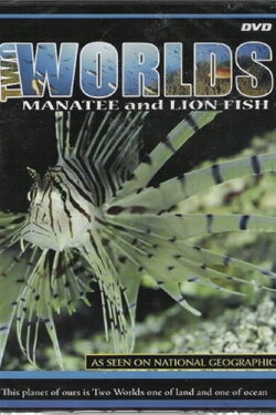 Two Worlds: Manatee and Lion Fish (2006) Two Worlds: Manatee and Lion Fish (2006)