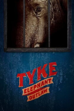 Tyke Elephant Outlaw (2015) Tyke Elephant Outlaw (2015)