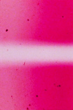 UAREI (1977)
