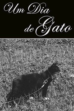 Um Dia de Gato (2023) Um Dia de Gato (2023)