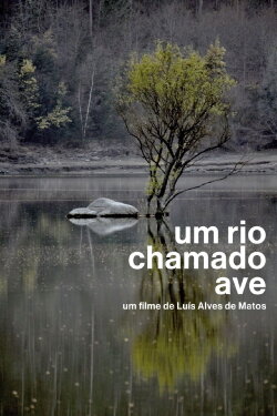 Um Rio Chamado Ave (2012)