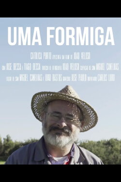 Uma Formiga (2017)