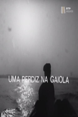 Uma Perdiz na Gaiola (1976) Uma Perdiz na Gaiola (1976)