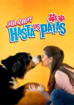 Un amor hasta las patas (2019) Un amor hasta las patas (2019)