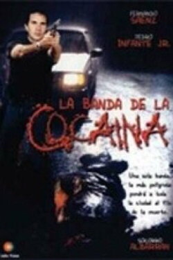Un ingeniero en la capital (1999) Un ingeniero en la capital (1999)