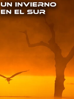 Un Invierno en el Sur (2017) Un Invierno en el Sur (2017)