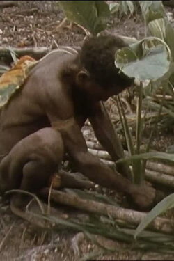 Un jardin à Iafar (1973) Un jardin à Iafar (1973)