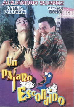 Un pájaro escondido (1997) Un pájaro escondido (1997)