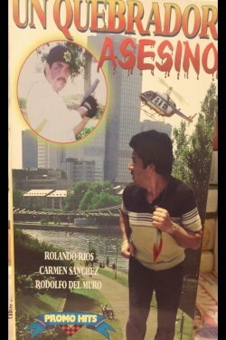 Un quebrador asesino (1995)