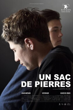 Un sac de pierres (2017) Un sac de pierres (2017)