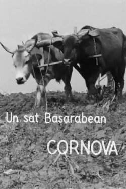 Un sat basarabean, Cornova (1932) Un sat basarabean, Cornova (1932)