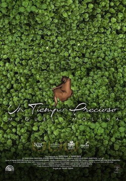 Un tiempo precioso (2020) Un tiempo precioso (2020)