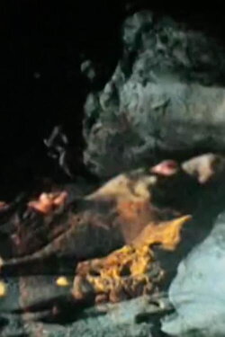 Un Troupeau Se Perd Dans La Forêt Rouge (1992) Un Troupeau Se Perd Dans La Forêt Rouge (1992)