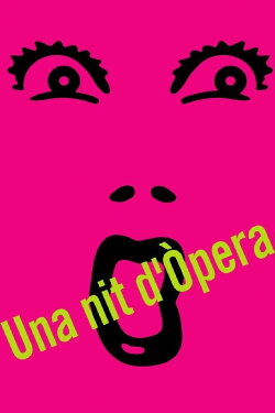 Una nit d'òpera (2002)