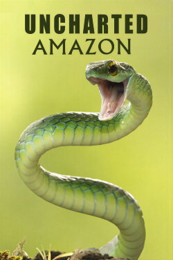 Uncharted Amazon (2016) Uncharted Amazon (2016)