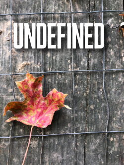 Undefined (2022)