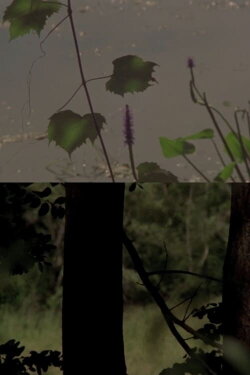 Under a Tree (2017) Under a Tree (2017)