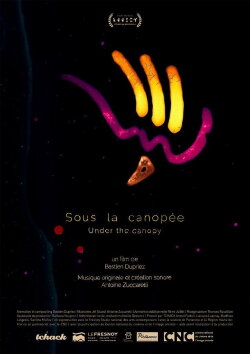 Under the Canopy (2019)