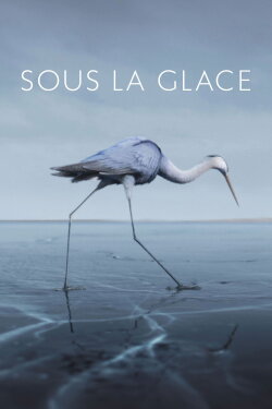 Under the Ice (2019) Under the Ice (2019)