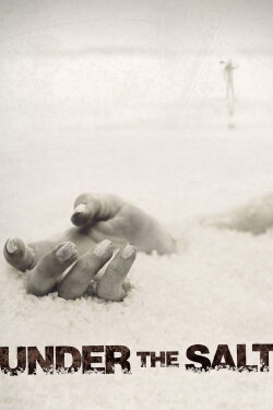 Under the Salt (2008)