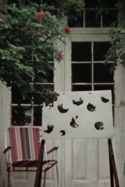 Under the Sun (1979)
