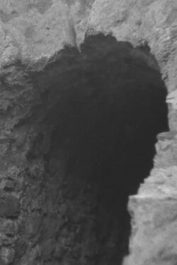 Underground Pulses (2023)