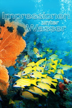 Underwater Impressions (2002) Underwater Impressions (2002)