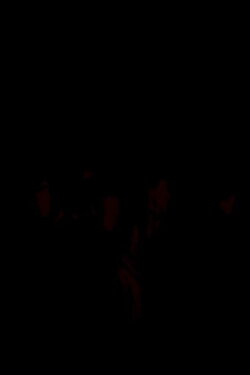 Une nuit (2006)