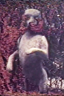 Une Passagère (1984) Une Passagère (1984)