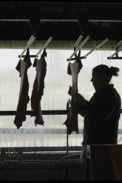 Unskinned (2019)