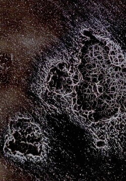 Unstable Materials (1995)