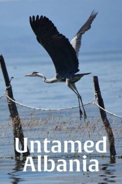 Untamed Albania (2018) Untamed Albania (2018)