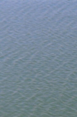 Upstream (into America) (2023) Upstream (into America) (2023)