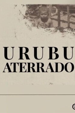 Urubu aterrado (2023) Urubu aterrado (2023)