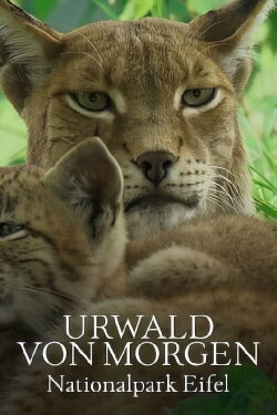 Urwald von morgen – Nationalpark Eifel (2023) Urwald von morgen – Nationalpark Eifel (2023)