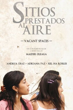 Vacant Spaces (2011) Vacant Spaces (2011)
