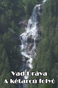 Vad Dráva - A kétarcú folyó (2022)