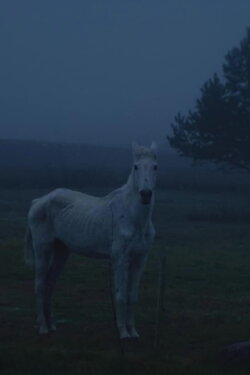 Valley (2023)