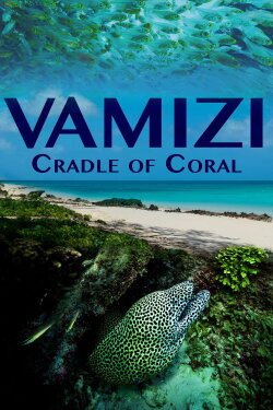 Vamizi Cradle of Coral (2016)