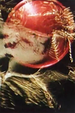 Vanitas (1962)