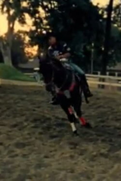 Vaquero (2021)